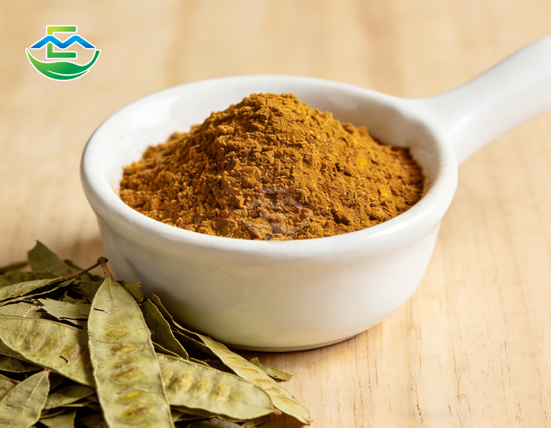 Senna Leaf Extract powder
